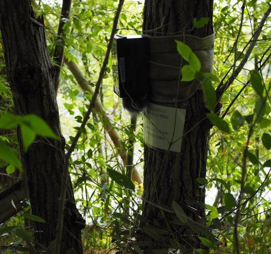 Acoustic Monitoring for Biodiversity Conservation