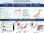 Renewable Energy Nexus: Interlinkages with Biodiversity and Social Issues in Japan